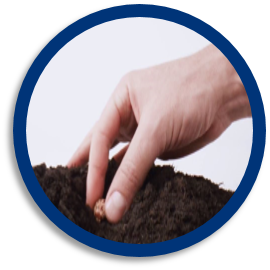 Carbon Neutral.png