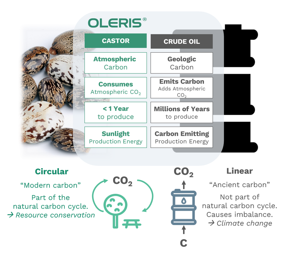 Oil v Castor w cycle-2.png